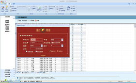 Access軟件開發與數據處理服務概述
