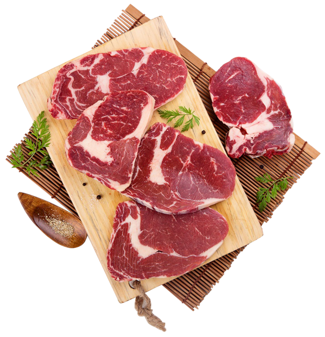 肉素材燈具 融合自然與工業設計的創意之光